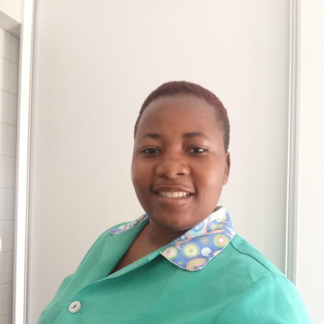 Babysitter in Edenvale: Perseverance