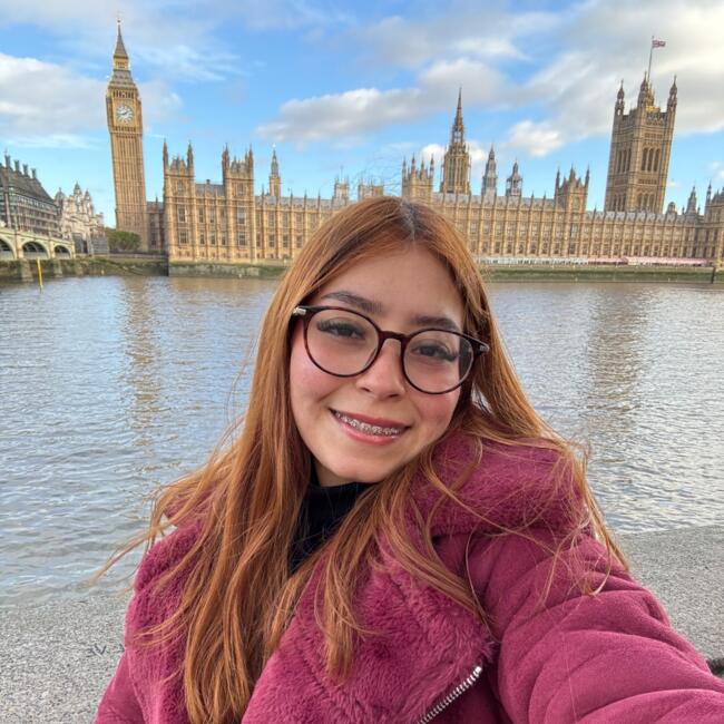 Niñera en Santiago de Chile: Camila