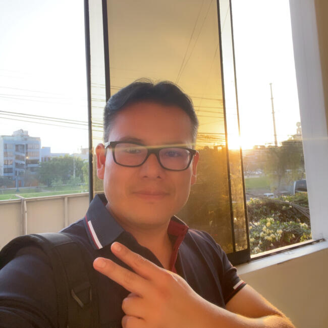 Trabajo para niñera en San Juan (Lima): Roger davy