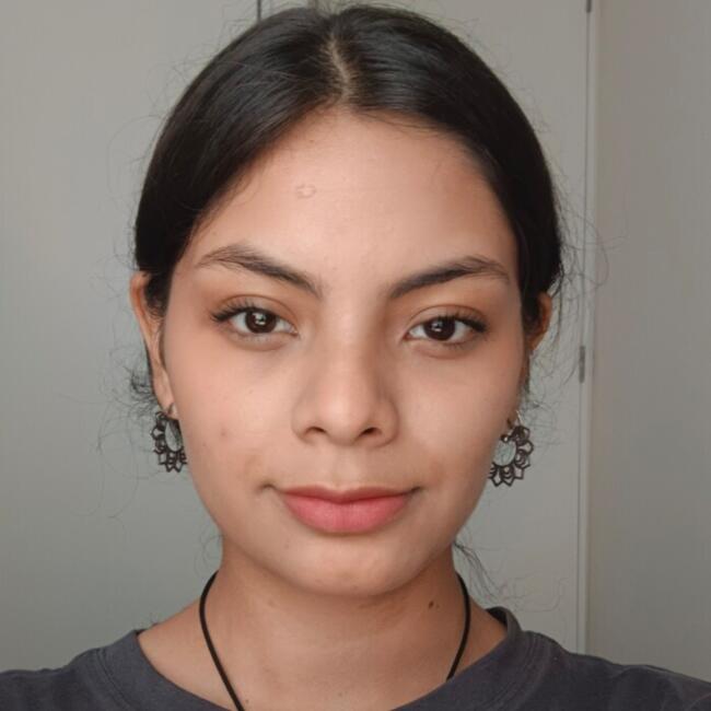 Babysitter in Coquimbo: Sophia