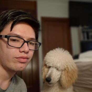 Babysitting job in Boadilla del Monte: babysitting job Guillermo