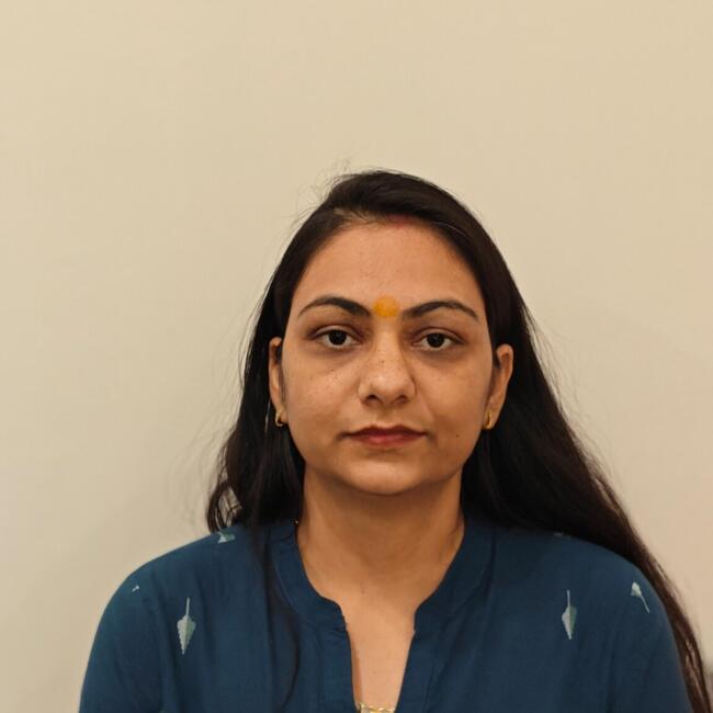 Babysitting job in New Delhi: Ankit