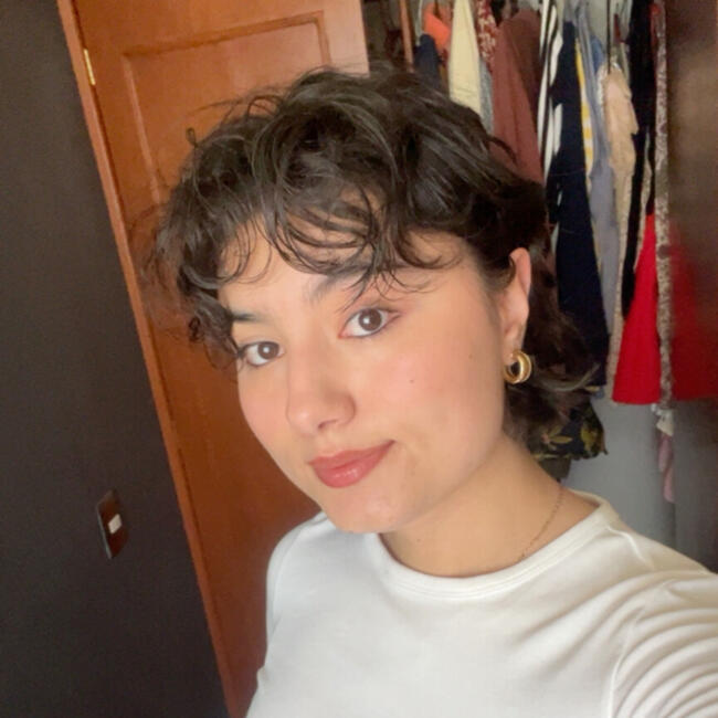 Niñera en Atlacomulco de Fabela: Maria Ines