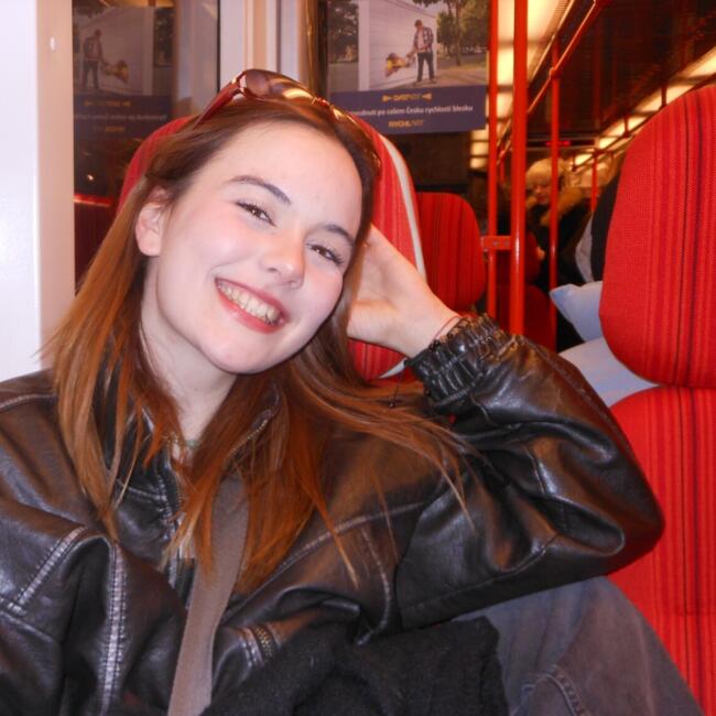 Babysitter in Beaumetz-lès-Loges: Noa