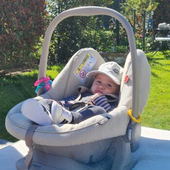 Babysit job in Zingem: babysit jobs Katinka
