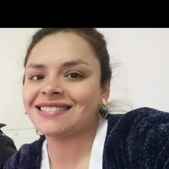 Childcare agency in Linares: Carla Vásquez Lastra