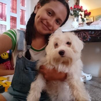 Babysitter in Cumaná: Maria