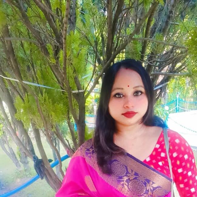 कोलकाता में बेबीसिटर: Sanchayita