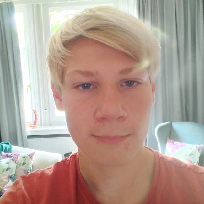 Babysitter in Mortsel: Matthis