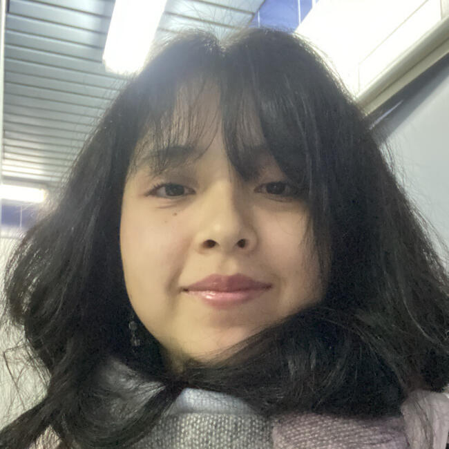 Babysitter in Temuco: Javiera