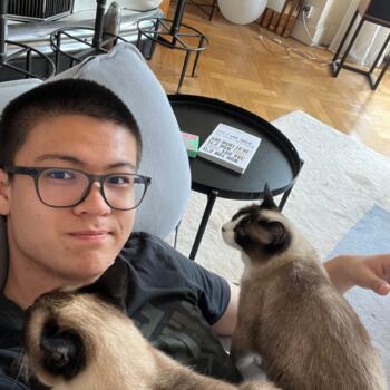 Babysitter in Wilrijk: Robbe