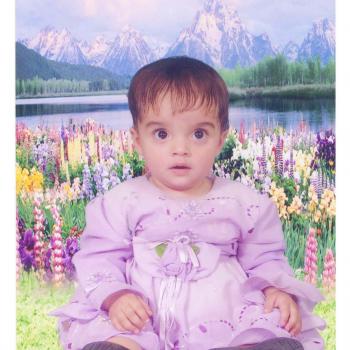 Babysitter in Sligo: Alishba