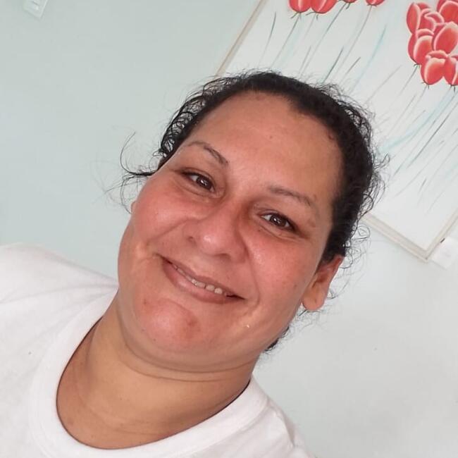 Babysitter in Florianópolis: Brinetcy