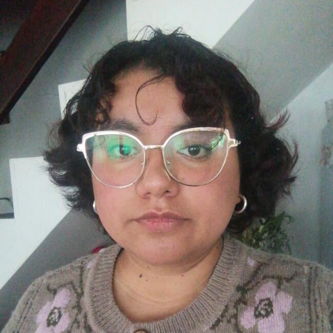 Babysitter in Concepción: Francisca