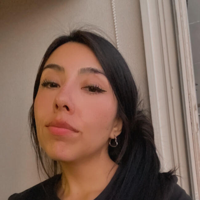 Babysitter in Santiago: Millysen