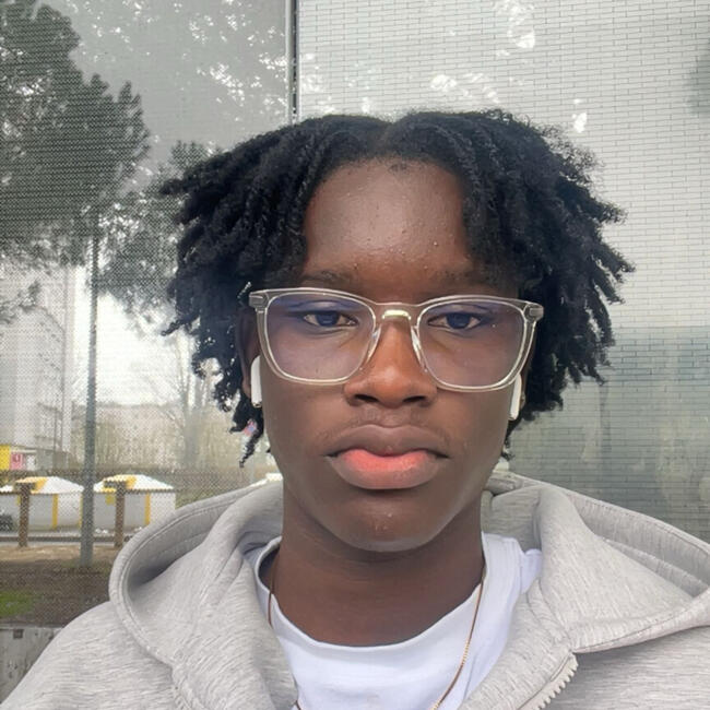 Babysitter in Pessac: Steevrick