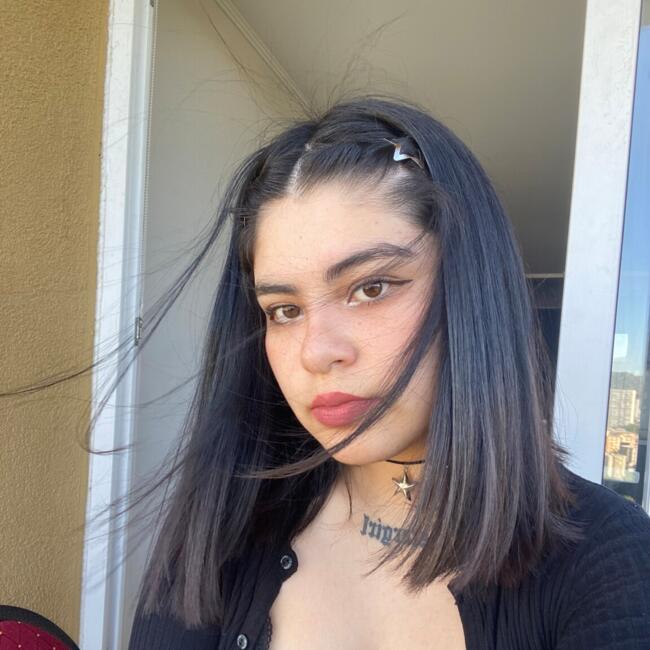 Babysitter in Concepción: Isidora