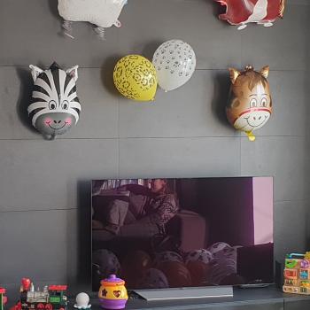 Lavoro per babysitter a Roma: lavoro per babysitter Francesca