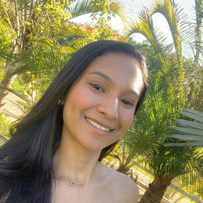 Babysitting job in Viçosa: Stephanie