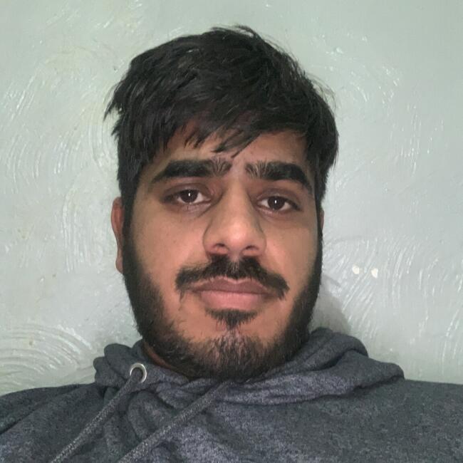 Babysitting job in Walsall: Rajat