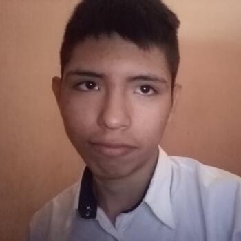 Babysitter Santa Cruz: Alexis niñero