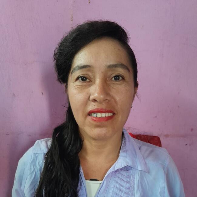 Niñera en Lima: Norma Pinedo Angulo