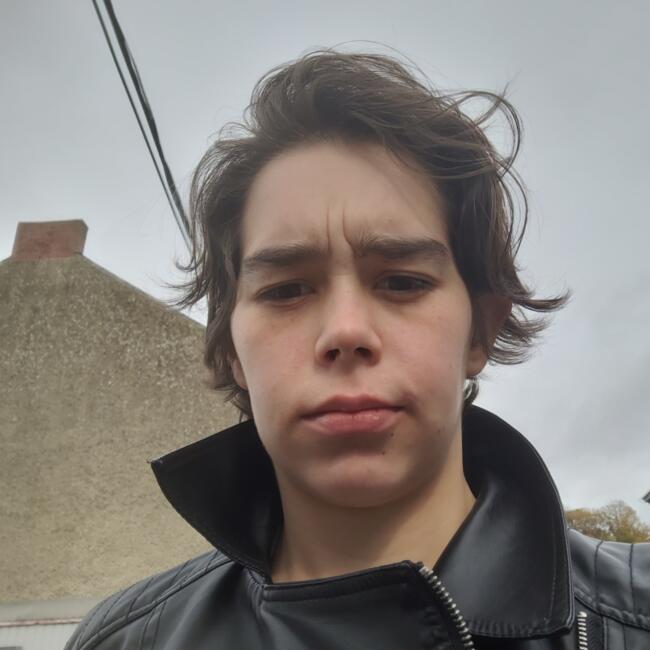 Babysitting job in Walcourt: Angelique