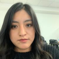 Diana Angeles Ortega Martinez