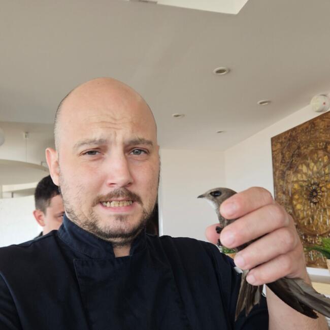 Babysitting job in Aigues-Mortes: Kevin