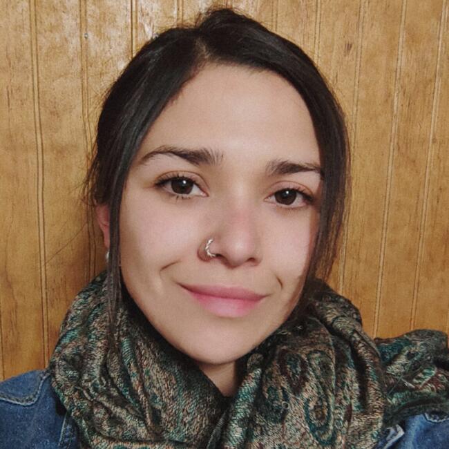 Babysitter in Villarrica: Sofía Olmos Bravo