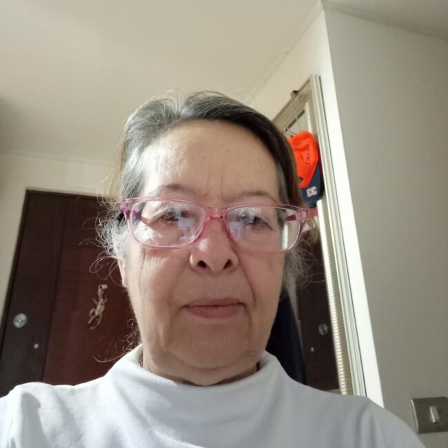 Babysitter in Santiago: María