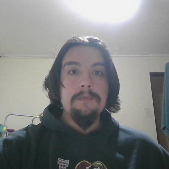 Babysitting job in Temuco: Gustavo