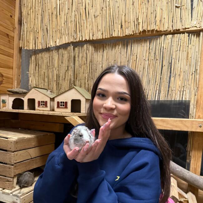 Babysitter in Torun: Karolina