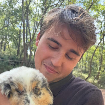 Babysitter in La Valette-du-Var: Theo