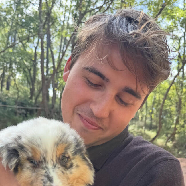 Babysitter in La Valette-du-Var: Theo