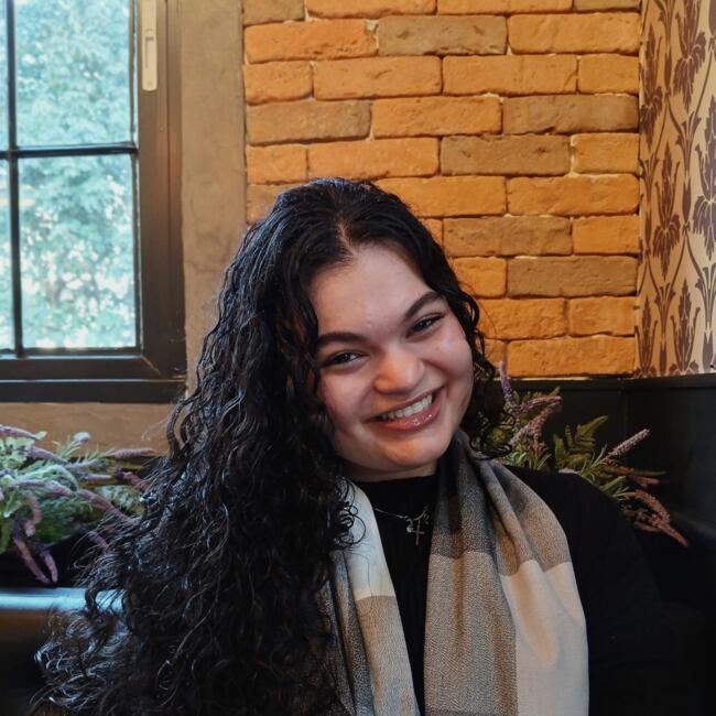 Babá em Joinville: Agnes Vitória