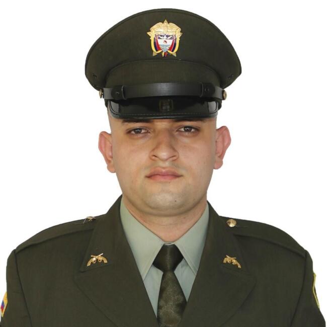 Babysitting job in Villavicencio: Santiago