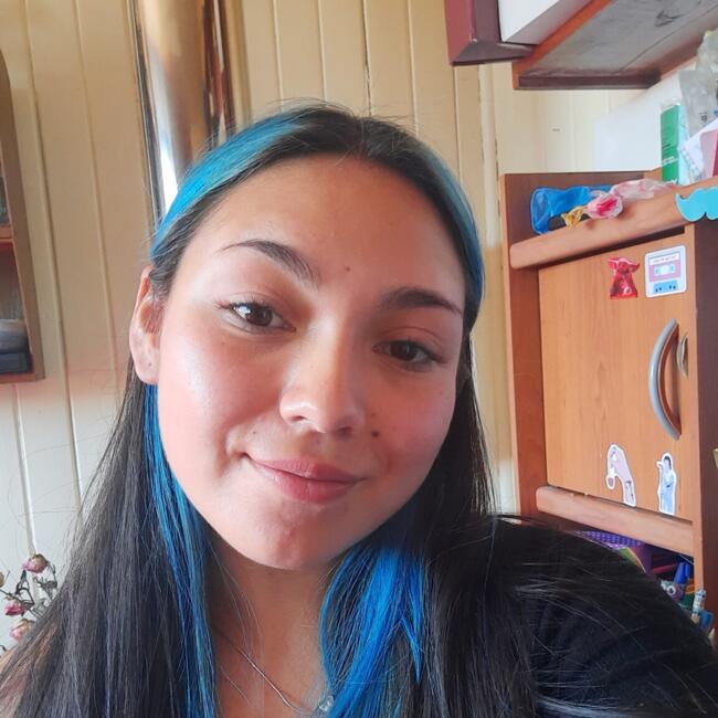 Babysitter in Valdivia: Lilian