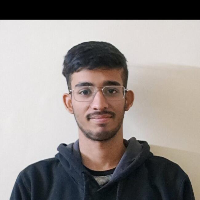 Babysitter in Delhi: Ankur
