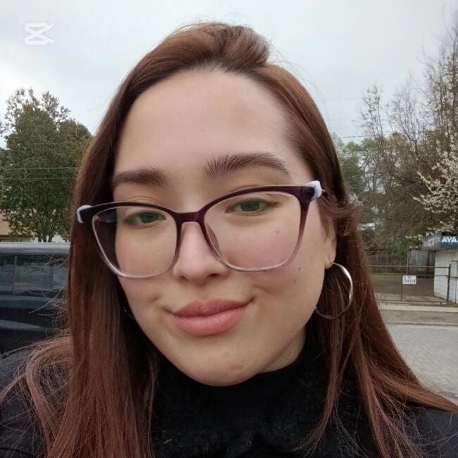 Babysitting job in Santiago: Alice