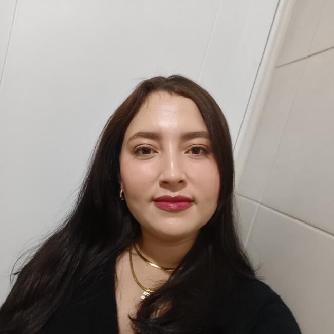 Babysitter in Santiago: Danibis Fraifer