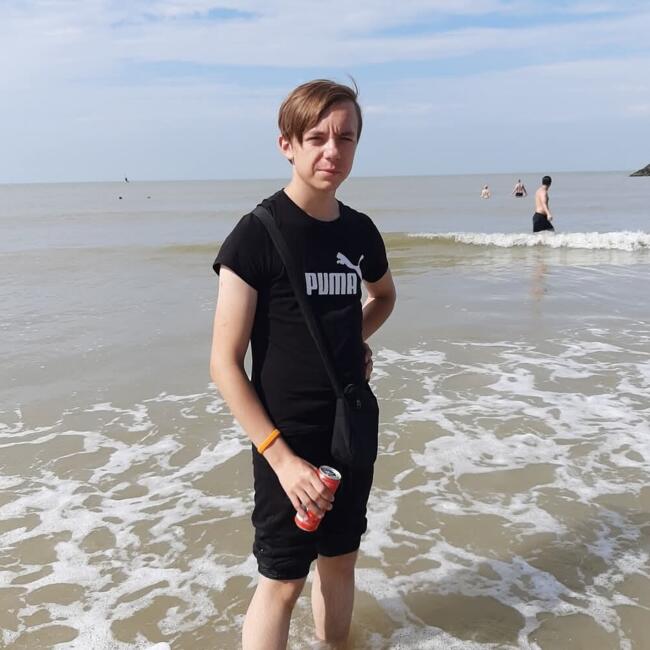 Babysitter in Fleurus: Andrew