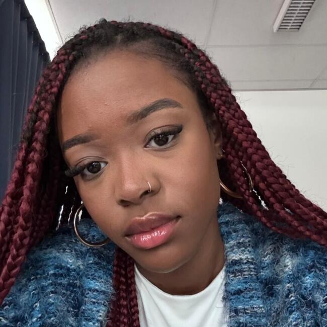 Babysitter in Jouy-le-Moutier: Nozene Houri