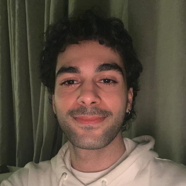 Babysitter in Istanbul: HamidReza