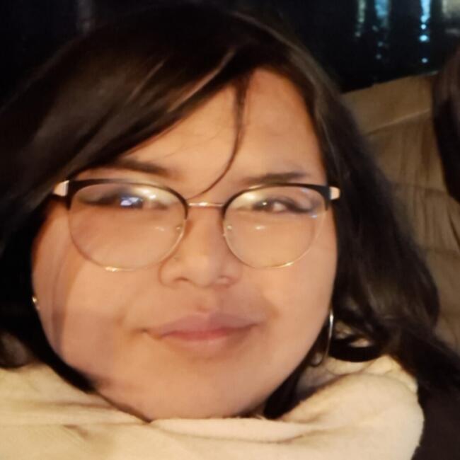 Babysitter in Ancud: Sofia