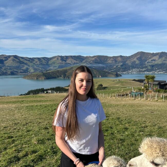 Babysitter in Christchurch: Alex