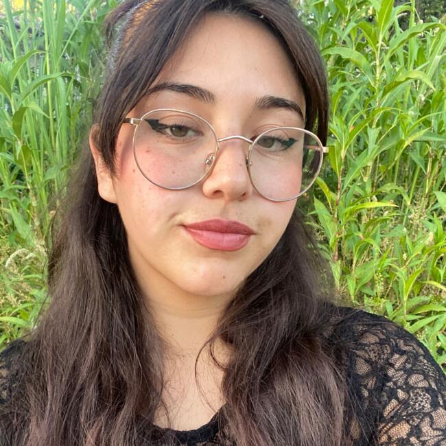 Niñera en Santiago de Chile: Nayra alvarez