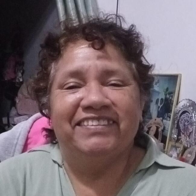 Niñera en Lima: Carmen mariana rivas plata
