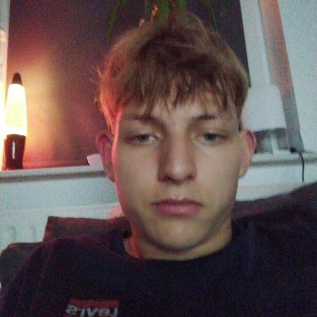 Babysitter Job in Emden: Noel