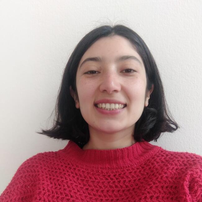 Babysitter in La Reina: Karime Andrea